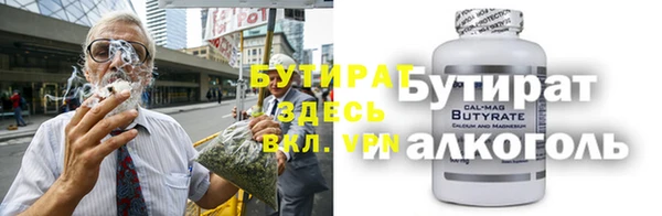 сатива Ельня