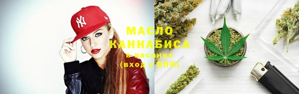 сатива Ельня