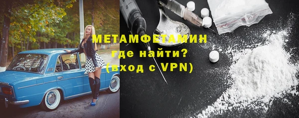 сатива Ельня