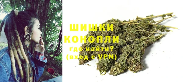MESCALINE Елизово
