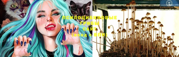 сатива Ельня