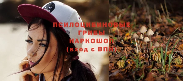 MESCALINE Елизово