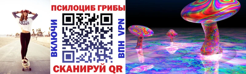 купить   OMG как войти  Галлюциногенные грибы Magic Shrooms  Невель 